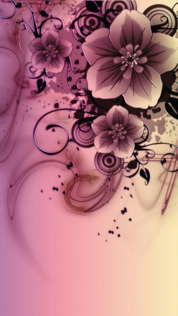 IMG is not loaded